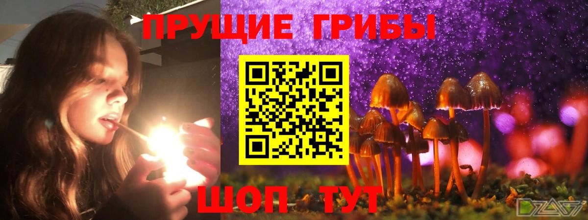 Галлюциногенные грибы Magic Shrooms  Вход с VPN  где купить   Видное  Галлюциногенные грибы Magic Shrooms 