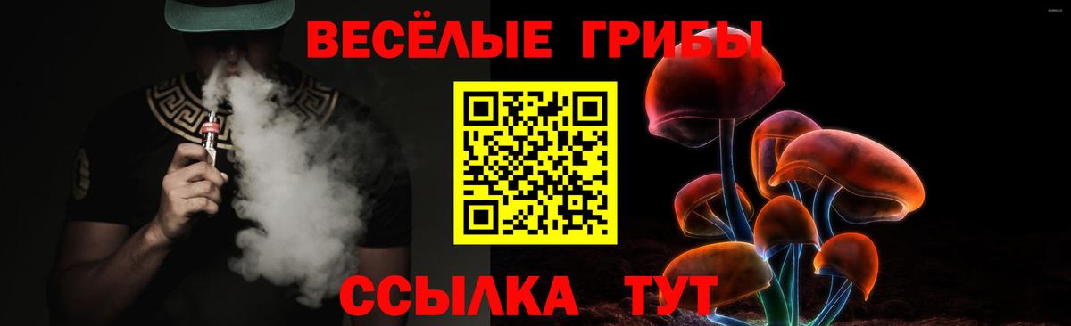 Псилоцибиновые грибы Psilocybine cubensis Видное